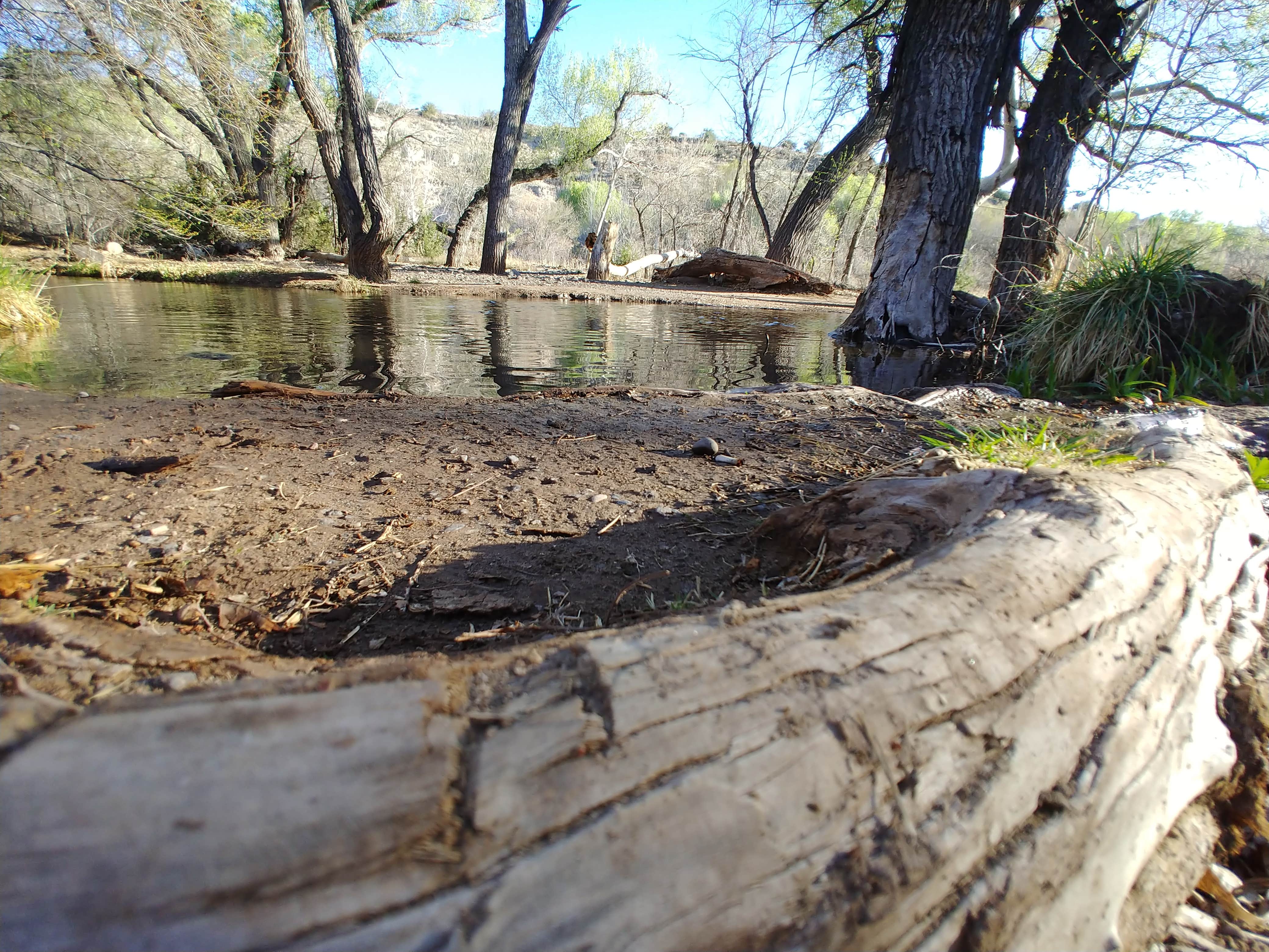 Camper submitted image from Clear Creek Area Dispersed — Grand Canyon National Park - 2