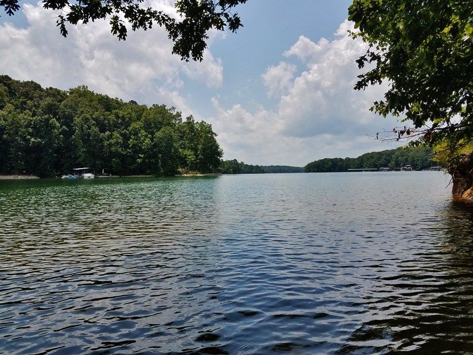 This is Lake Hartwell from my kayak.  The resort is behind me, and the off resort marina is in the distance.