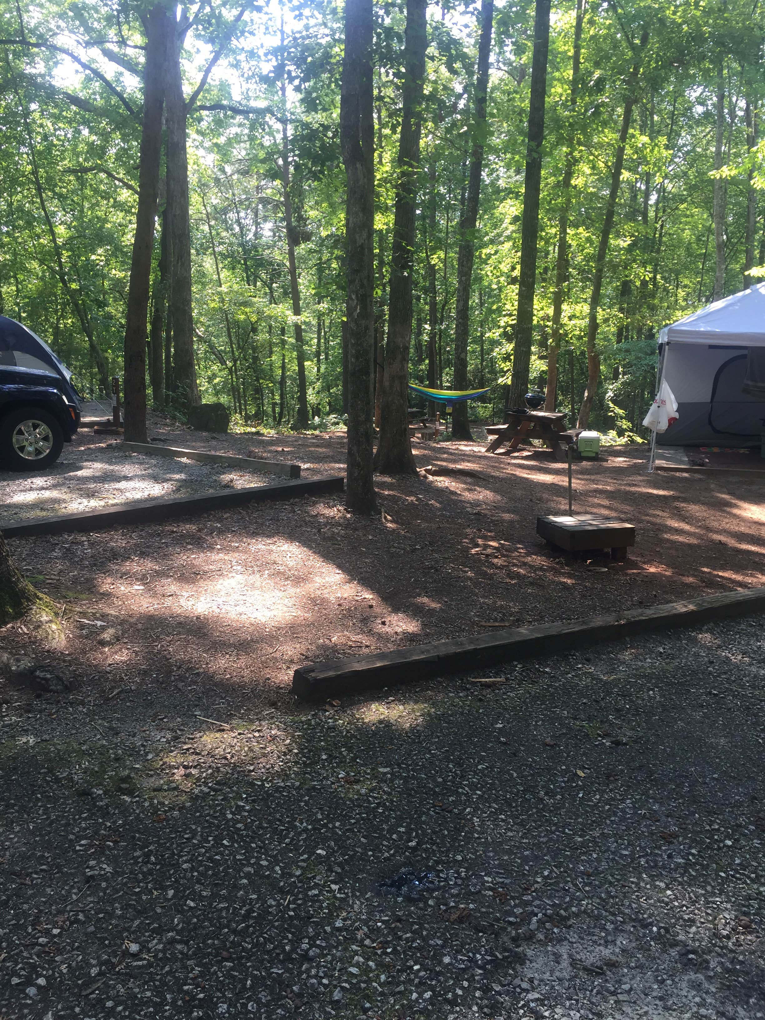 Jay B.'s photo at Keowee-Toxaway State Park near Pickens, SC