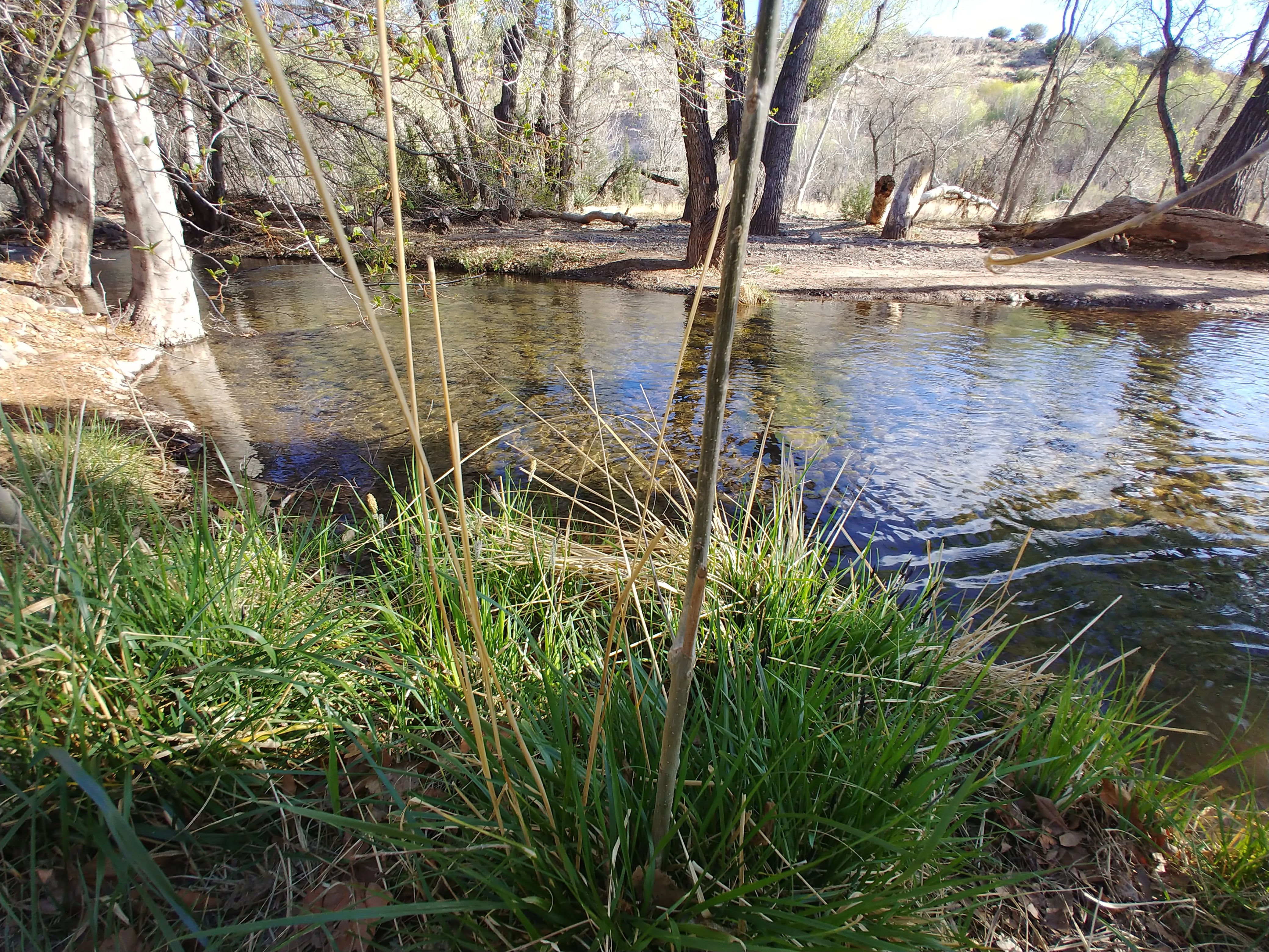 A peek at the creek