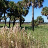 Review photo of Palmetto Ridge Campground — Myakka River State Park by Jeanene A., July 4, 2016