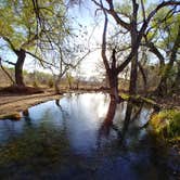 Review photo of Clear Creek Area Dispersed — Grand Canyon National Park by Levi V., April 3, 2018