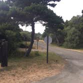 Review photo of Bullards Beach State Park Campground by Bjorn S., July 31, 2020