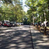 Review photo of Staunton River State Park Campground by Myron C., July 31, 2020