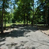 Review photo of Staunton River State Park Campground by Myron C., July 31, 2020