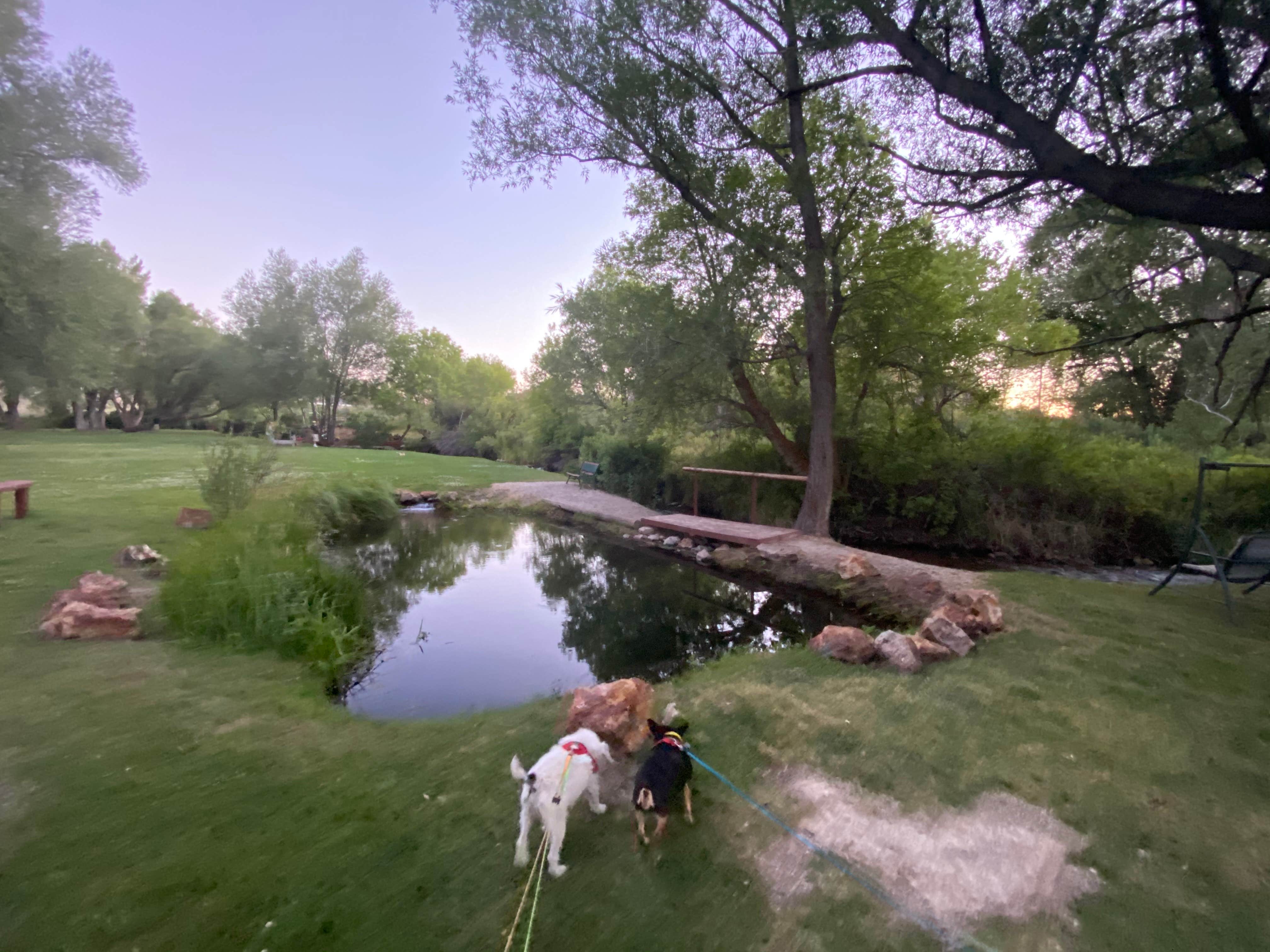 Mike J.'s photo of camping with pets at Welcome Station RV Park near Wells, NV