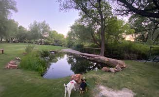 Mike J.'s photo of camping with pets at Welcome Station RV Park near Spring Creek, NV