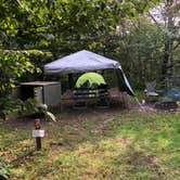 Review photo of Balsam Mountain Campground — Great Smoky Mountains National Park by Lexi G., July 31, 2020