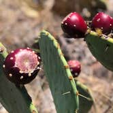Review photo of Inks Lake State Park Campground by John H., July 31, 2020