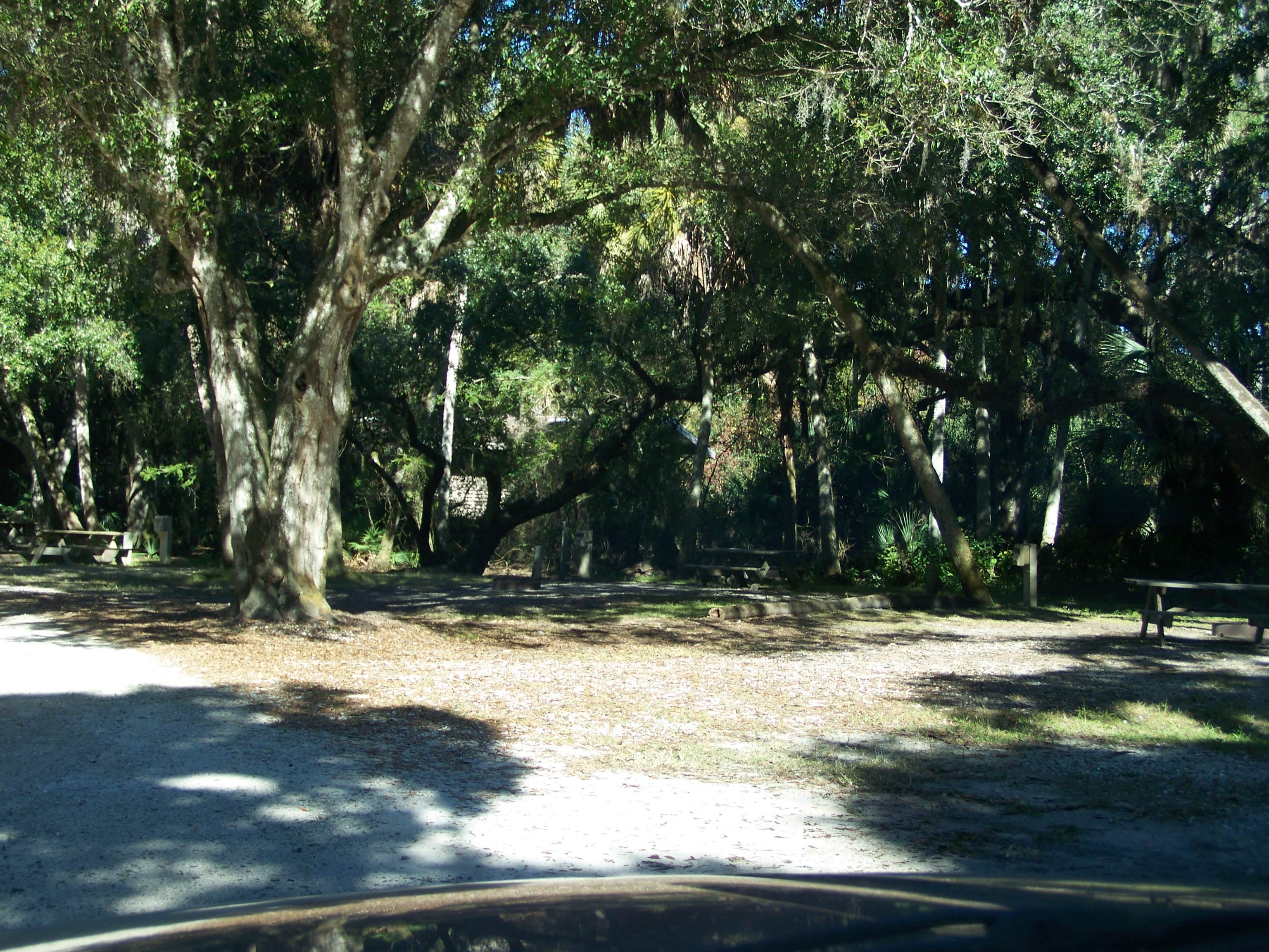 Palmetto Ridge Campground — Myakka River State Park