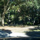 Review photo of Palmetto Ridge Campground — Myakka River State Park by Jeanene A., July 4, 2016
