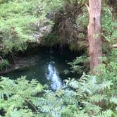 Review photo of Pedernales Falls State Park Campground by John H., July 31, 2020