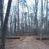 Review photo of Tishomingo State Park Campground by Kimsey C., April 3, 2018