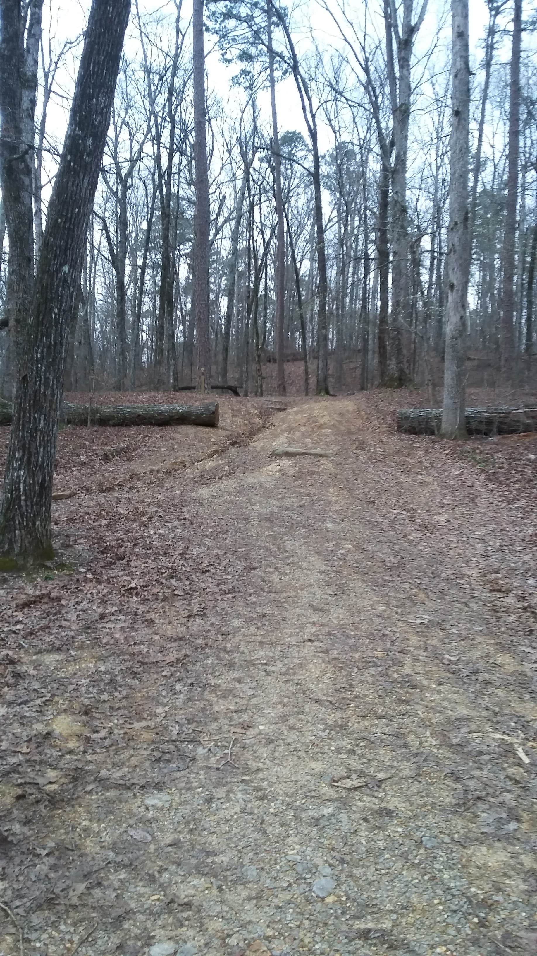 Camper submitted image from Tishomingo State Park Campground - 3