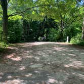 Review photo of Weborg Point Campground — Peninsula State Park by Scott M., July 25, 2020