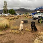 Review photo of Elk Creek Campground by Lexi M., July 31, 2020