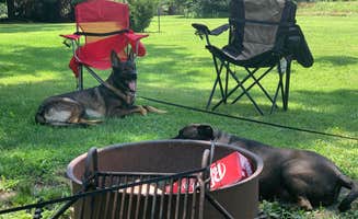 Lisa S.'s photo of camping with pets at Friends Creek Campground near Taylorville, IL