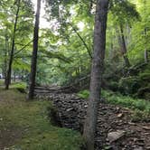 Review photo of Pike Lake State Park Campground by Shannon G., July 26, 2020