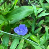 Review photo of Pike Lake State Park Campground by Shannon G., July 26, 2020