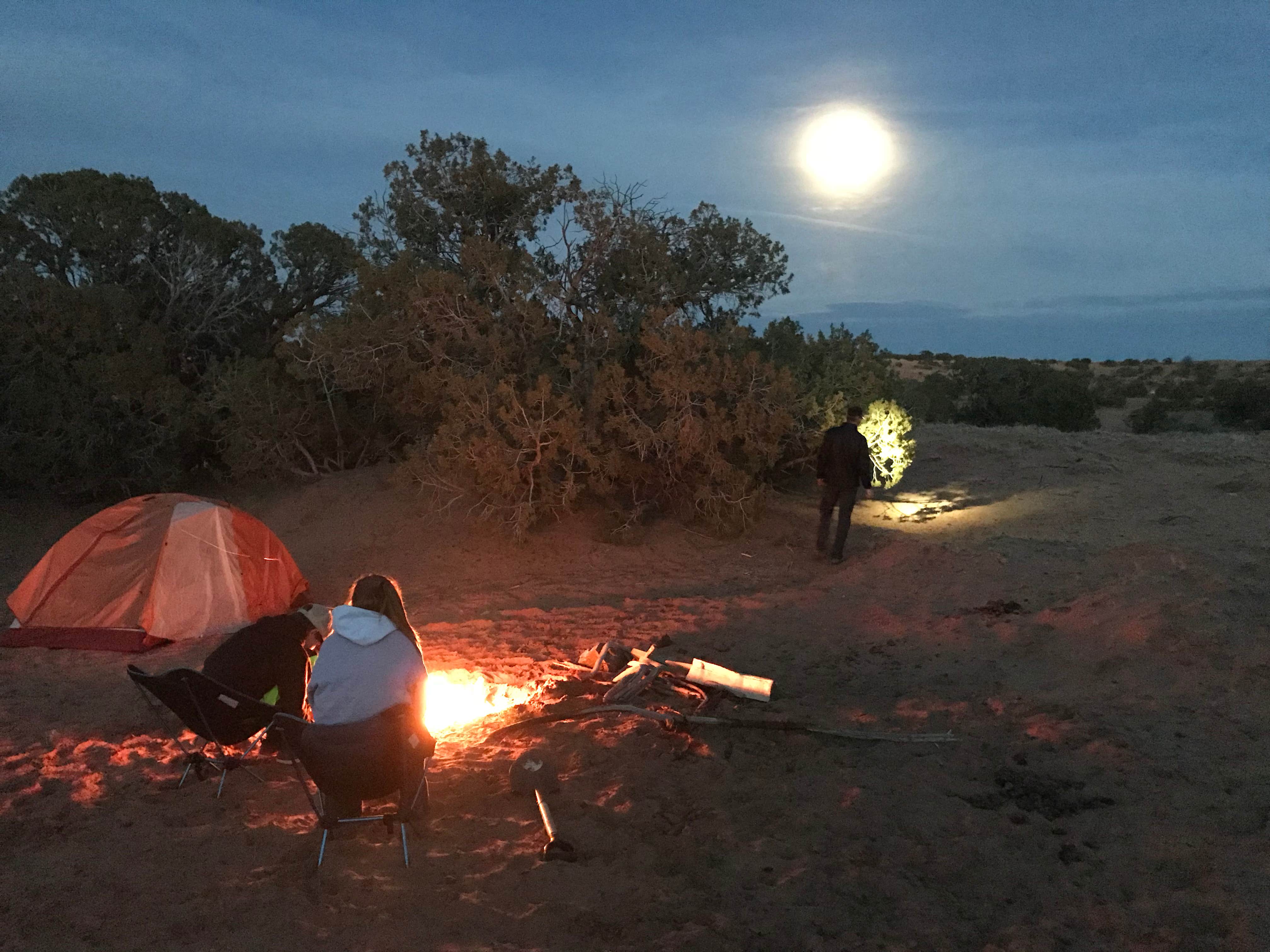 Carrie C.'s photo at Granary Springs near Hanksville, UT