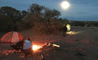 Carrie C.'s photo at Granary Springs near Hanksville, UT