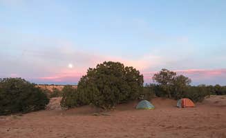 Carrie C.'s photo at Granary Springs near Hanksville, UT