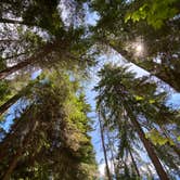 Review photo of Lake Wenatchee State Park Campground by Peter J., July 31, 2020