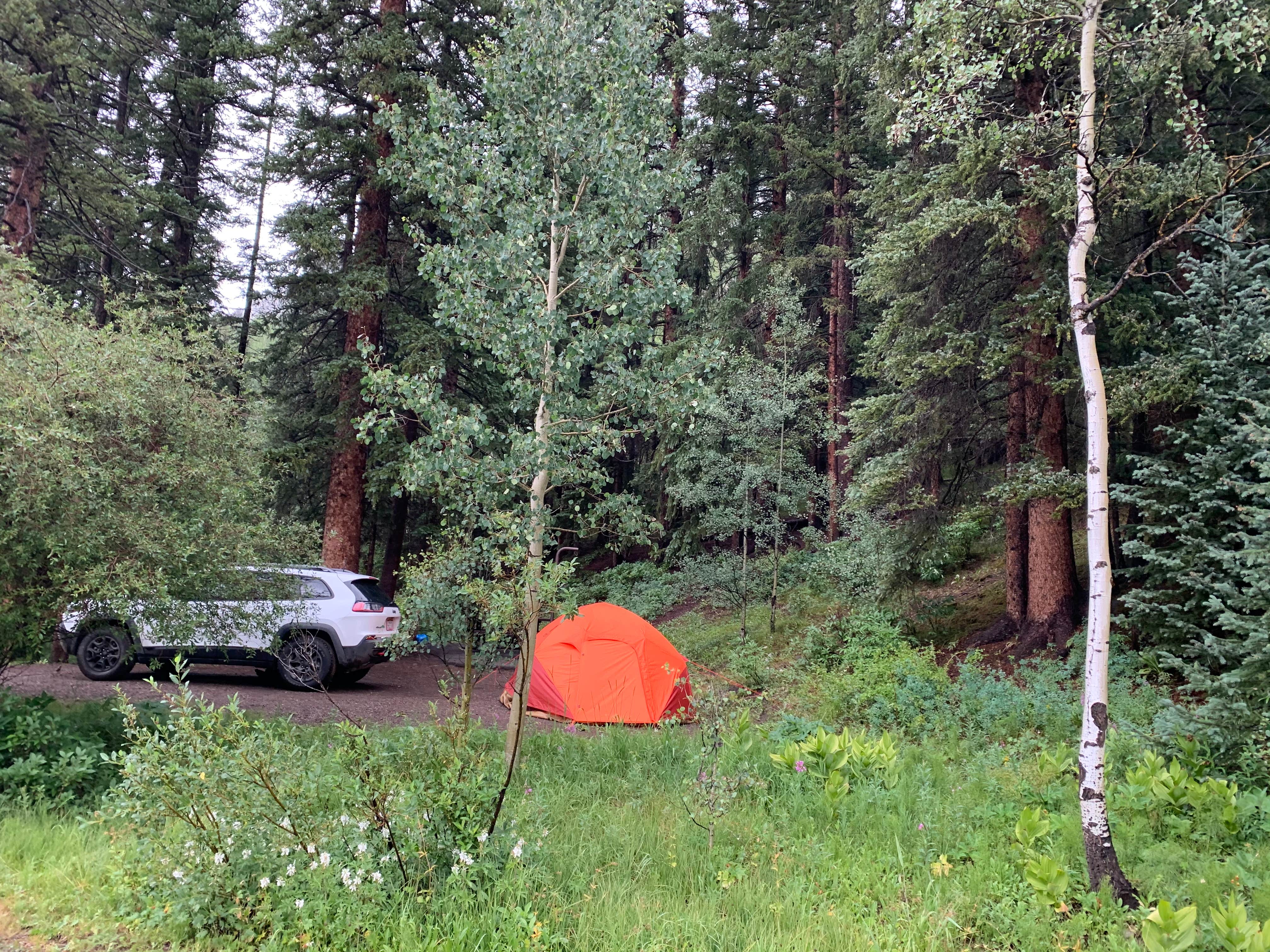 J. D.'s photo at Matterhorn — Grand Mesa, Uncompahgre And Gunnison National Forest near Ophir, CO