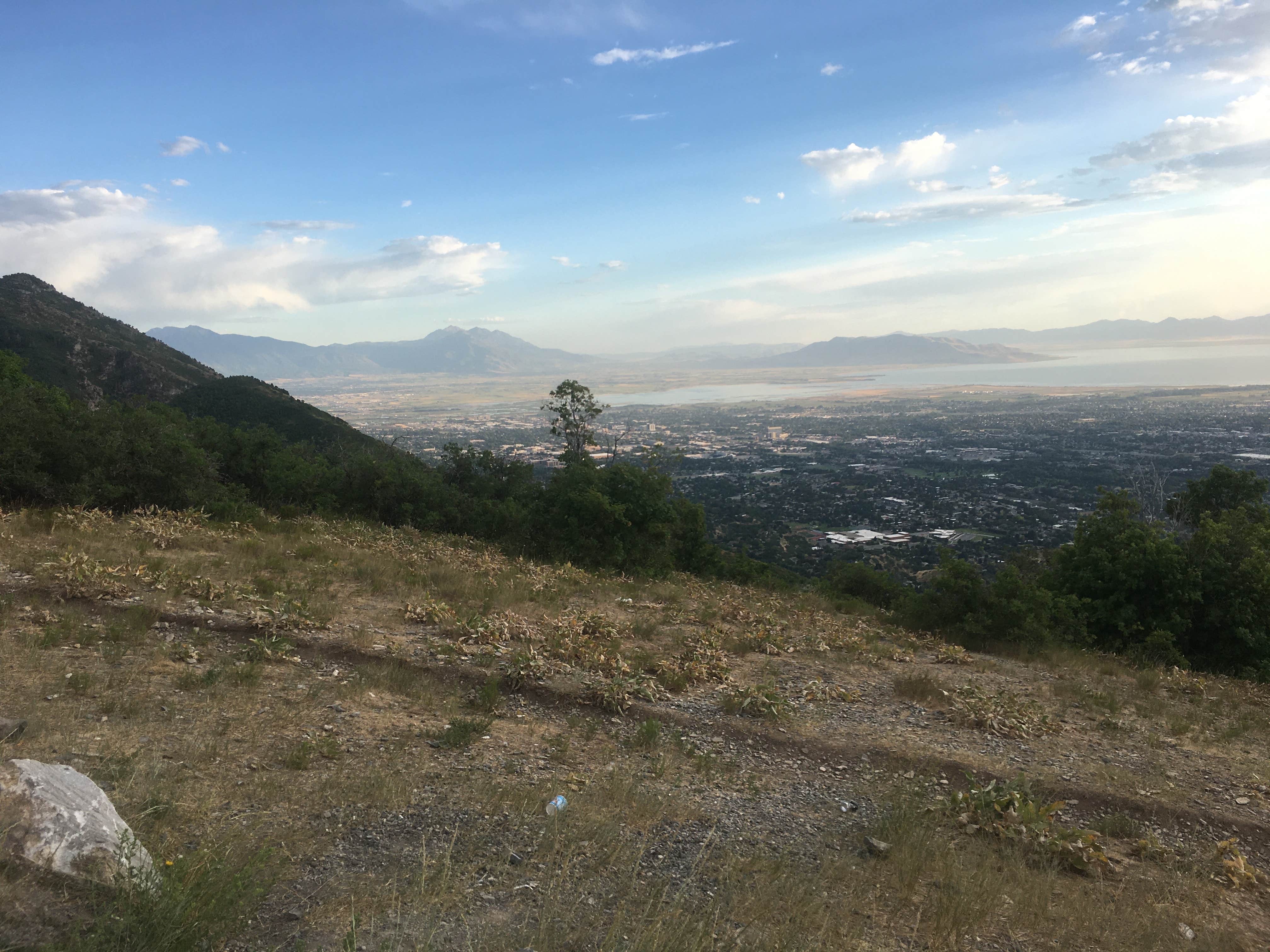 Camper submitted image from Squaw Peak Road Dispersed - 3