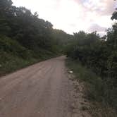 Review photo of Squaw Peak Road Dispersed by Spencer L., July 31, 2020