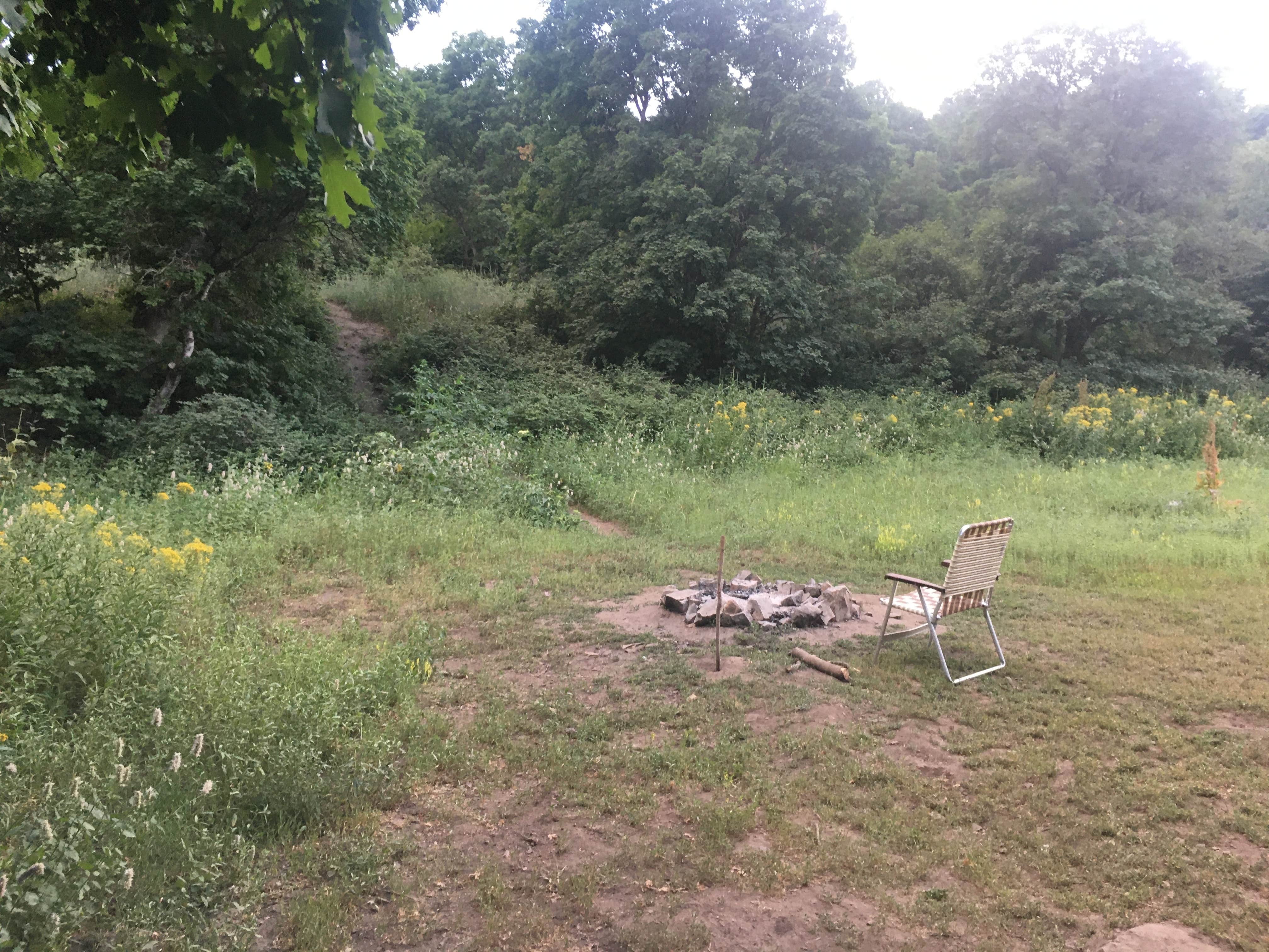 Camper submitted image from Squaw Peak Road Dispersed - 4