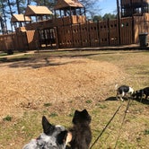 Review photo of Craighead Forest Park by Shelly S., April 3, 2018