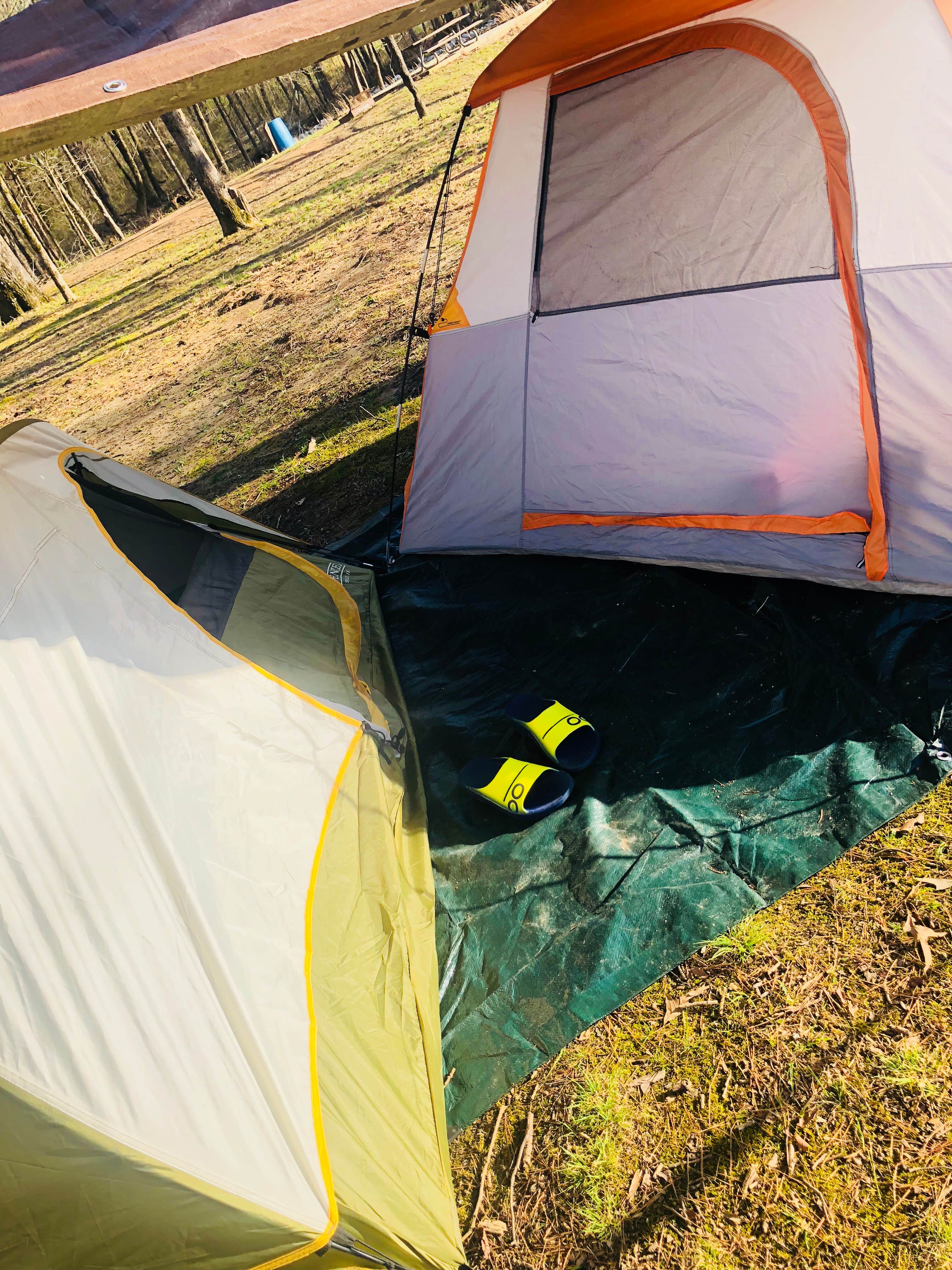 Camper submitted image from Craighead Forest Park - 4