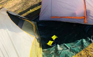 Shelly S.'s photo at Craighead Forest Park near Newport, AR