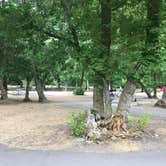 Review photo of Nunns Park by Spencer L., July 31, 2020