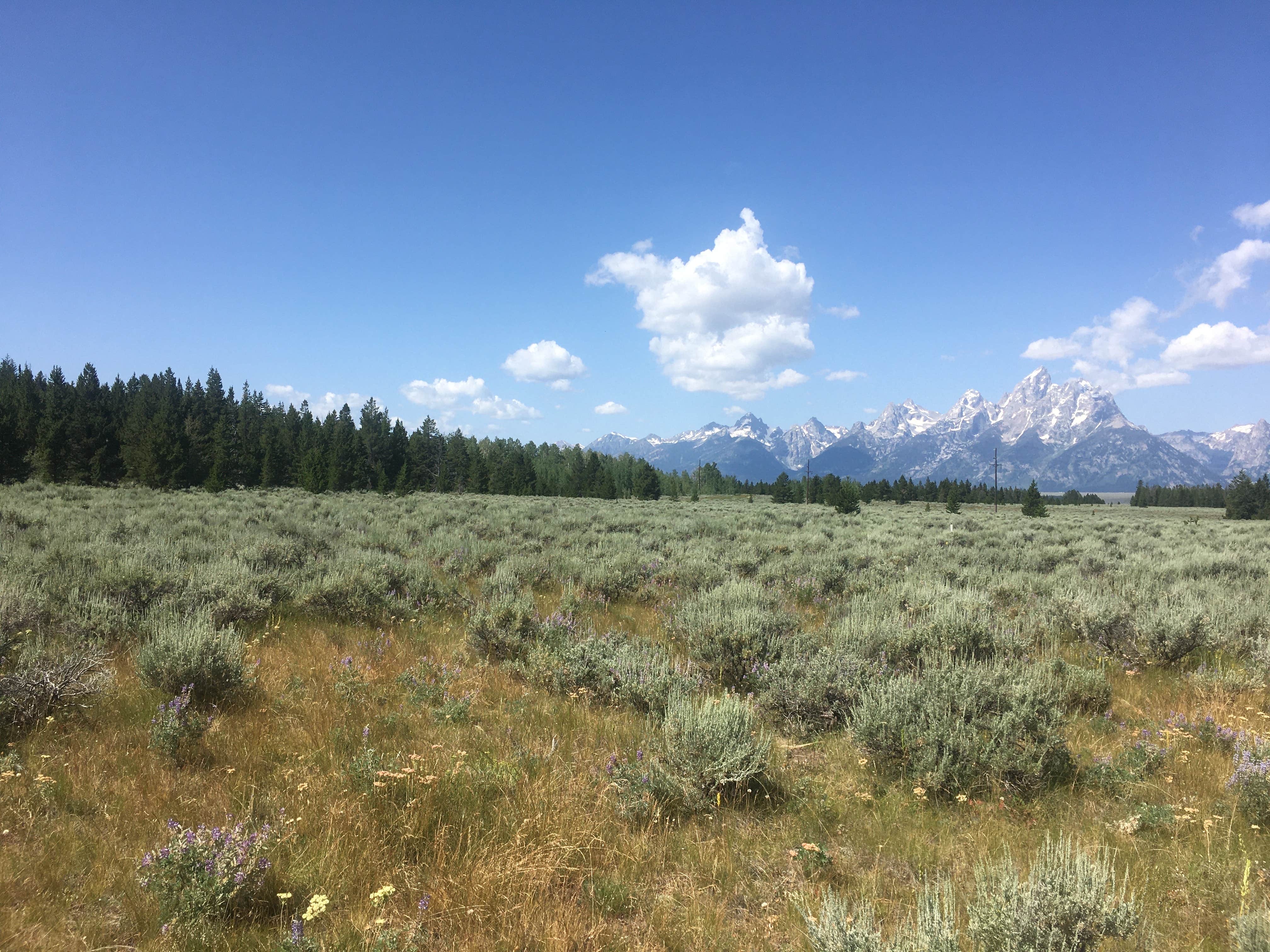 Camper-submitted photo at Toppings Lake in Bridger-Teton National Forest near Grand Teton National Park