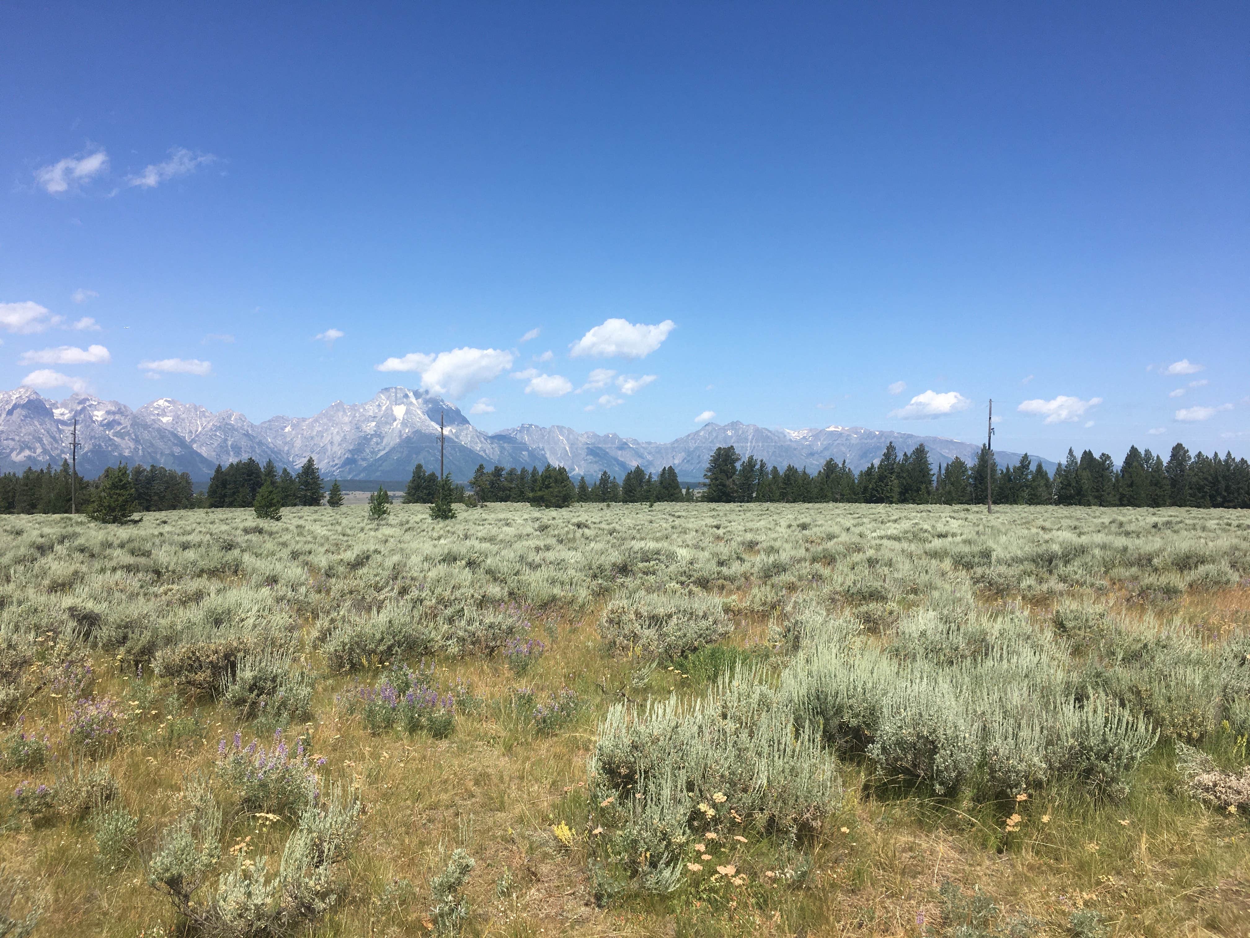 Camper submitted image from Toppings Lake in Bridger-Teton National Forest - 4