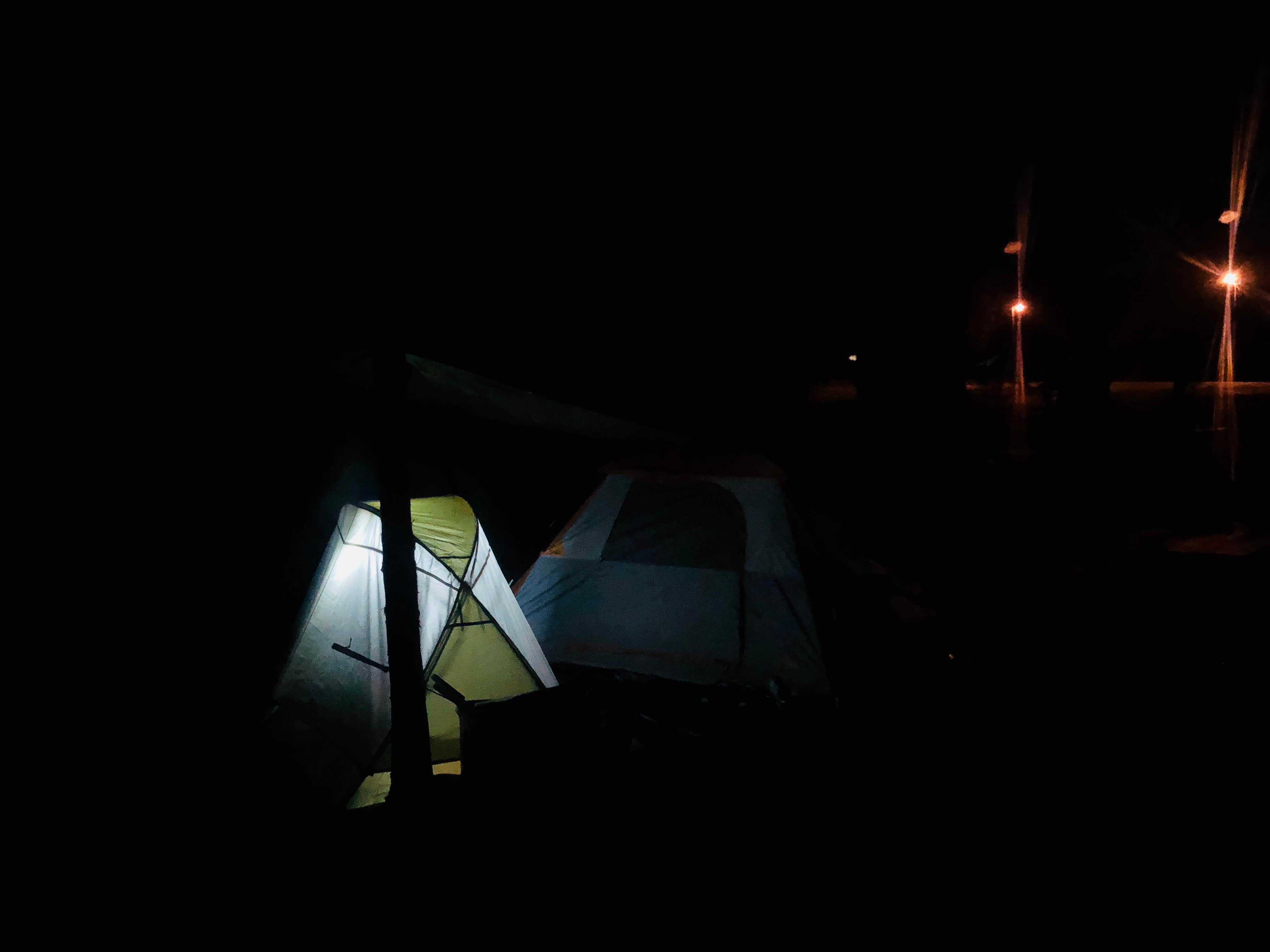 Shelly S.'s photo at Craighead Forest Park near Gilbert, AR