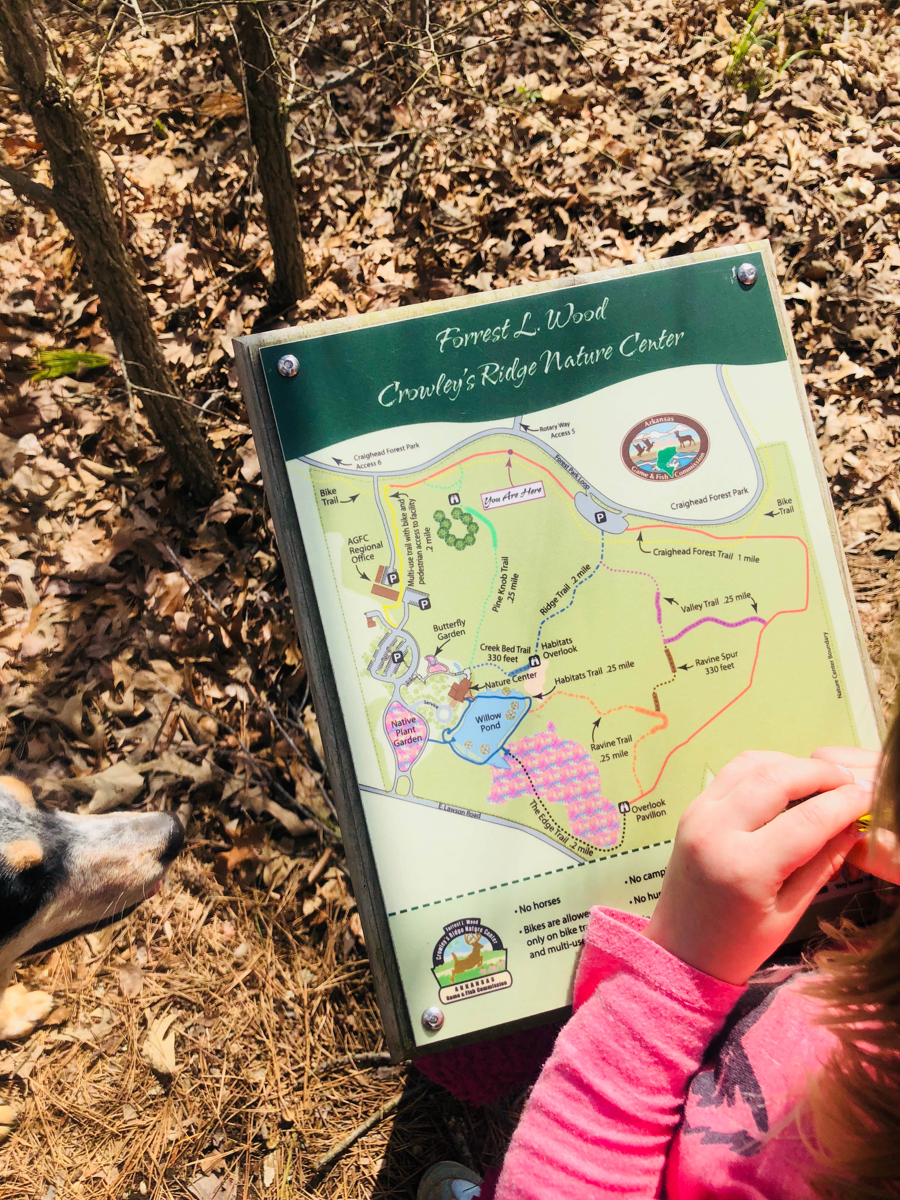 Camper-submitted photo at Craighead Forest Park near Jonesboro, AR