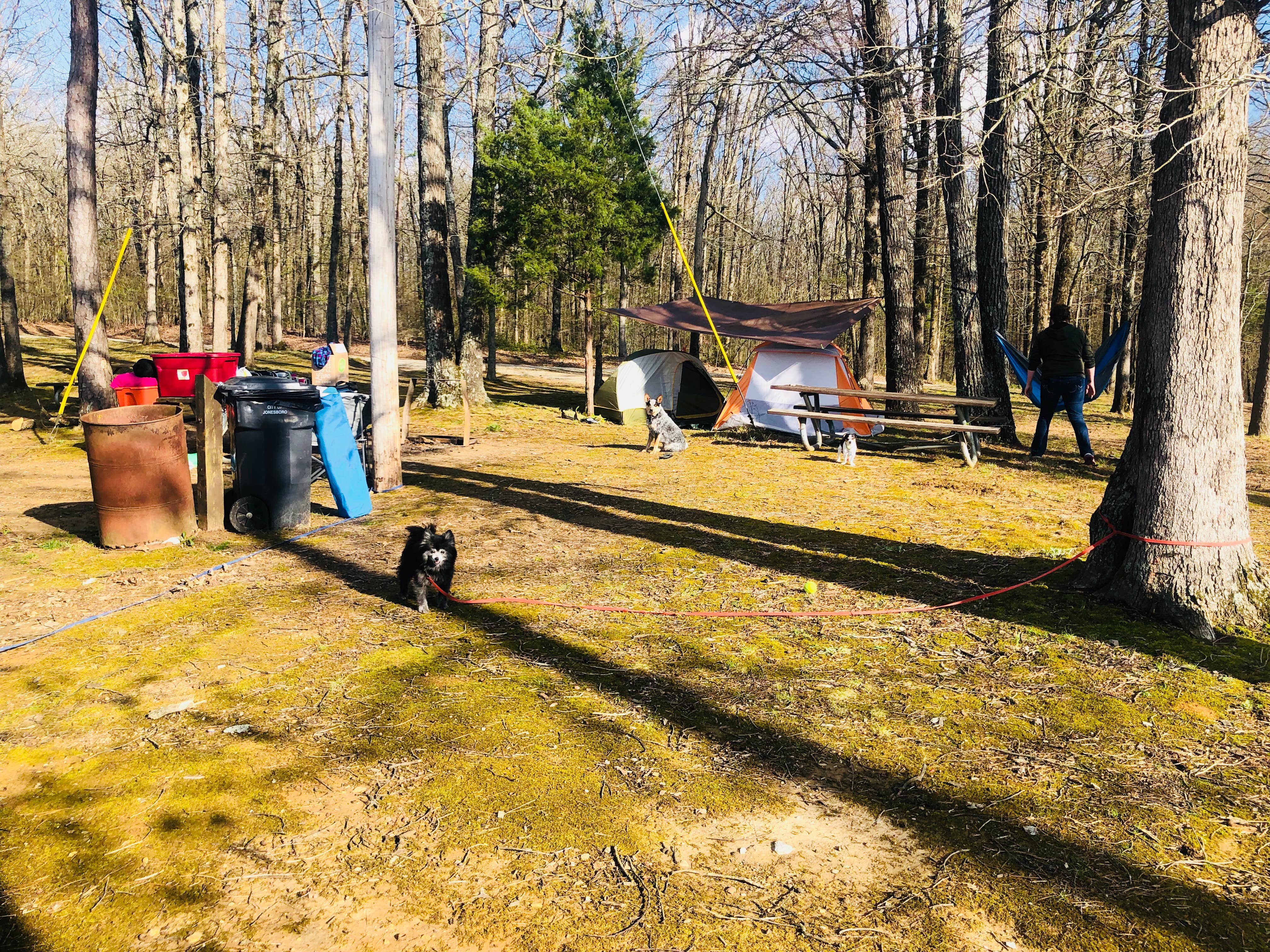 Camper-submitted photo at Craighead Forest Park near Jonesboro, AR