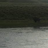 Review photo of Toppings Lake in Bridger-Teton National Forest by Spencer L., July 27, 2020