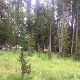 Review photo of Toppings Lake in Bridger-Teton National Forest by Spencer L., July 27, 2020