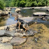 Review photo of Audra State Park Campground by Sheila P., July 31, 2020