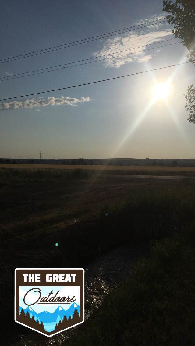 View All