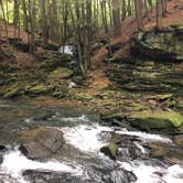 Review photo of Tionesta Rec. Area Campground by Brannon M., July 31, 2020