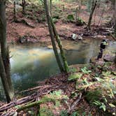 Review photo of Tionesta Rec. Area Campground by Brannon M., July 31, 2020