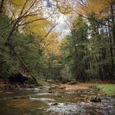 Review photo of Tionesta Rec. Area Campground by Brannon M., July 31, 2020