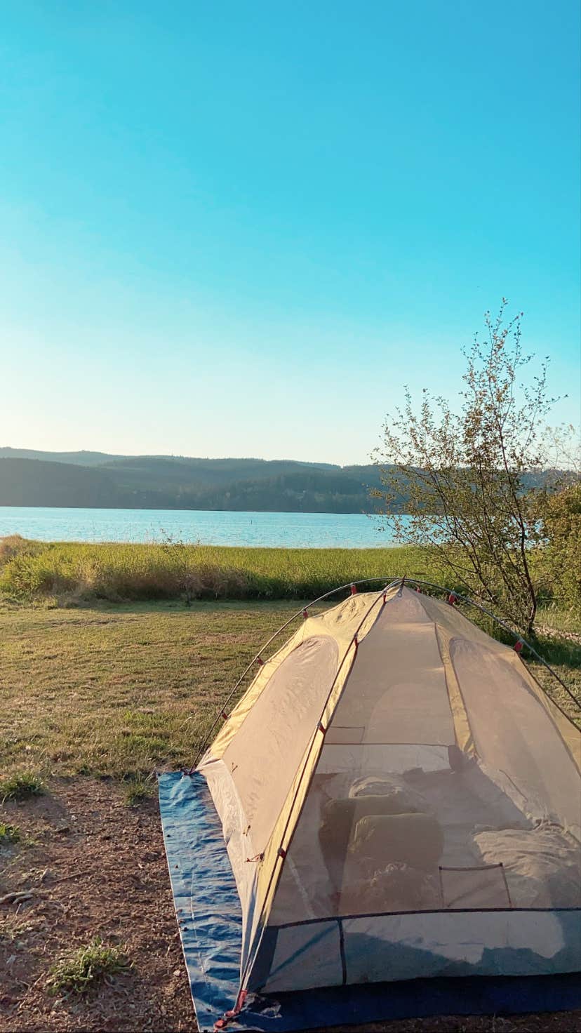 Jessica N.'s photo at Pine Meadows Campground near Elkton, OR