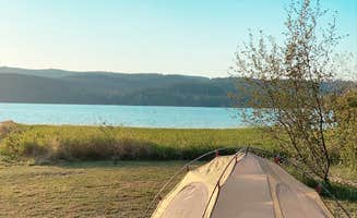 Jessica N.'s photo at Pine Meadows Campground near Lorane, OR