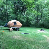 Review photo of Canyon Ridge Campground — Apple River Canyon State Park by Art S., July 31, 2020